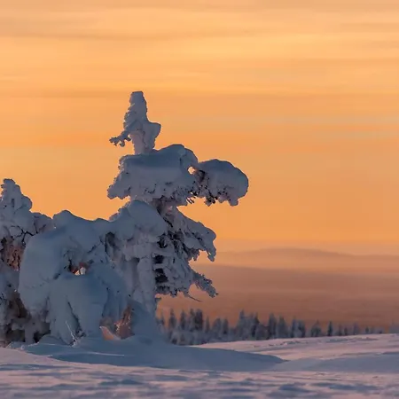 Talo Yllaes Feriehus *