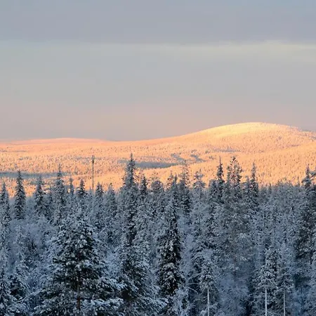 Feriehus Talo Yllaes *