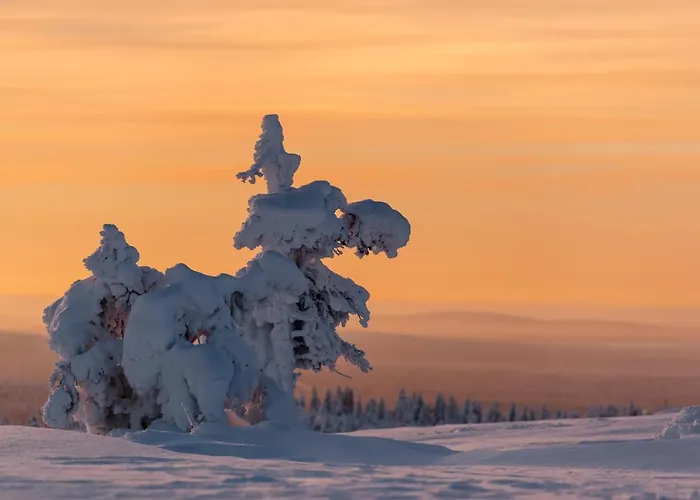 Talo Yllaes 別荘 *